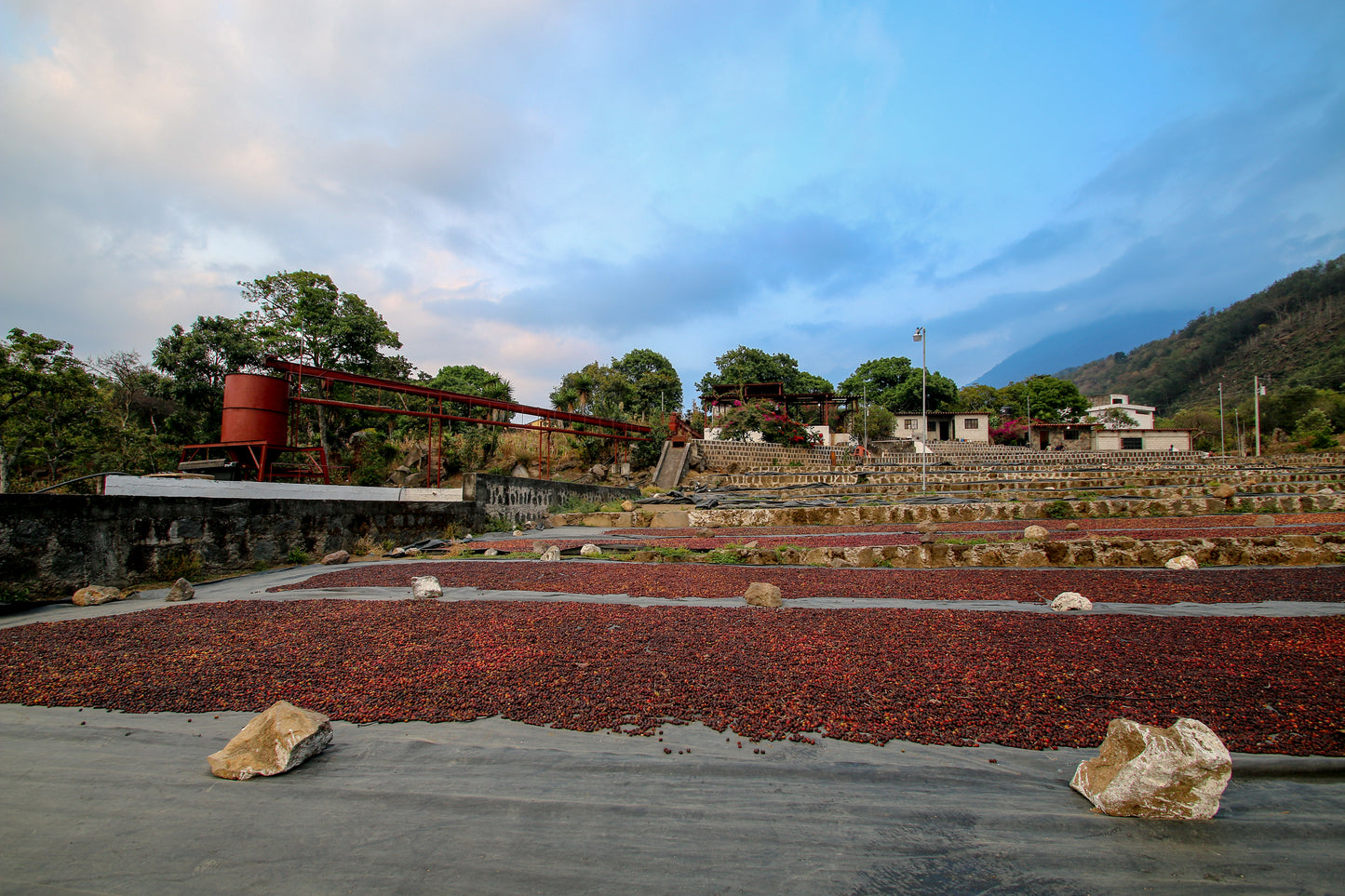 Guatemala Codech