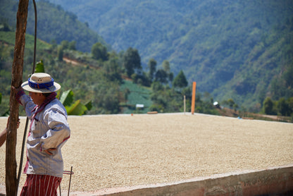 Guatemala Codech