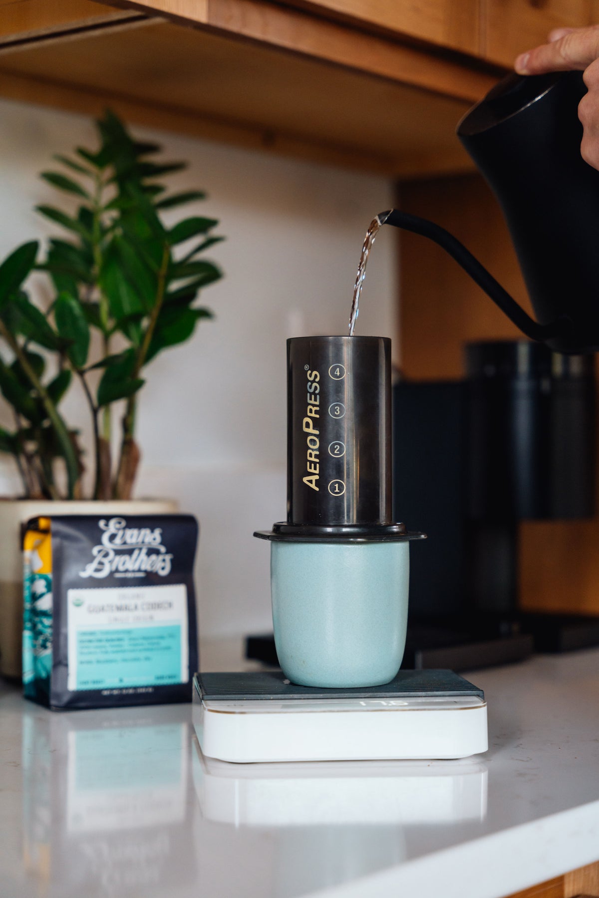 Aeropress Filter